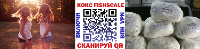 купить сайты Камень-на-Оби Cocaine FishScale