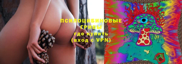 ПСИЛОЦИБИНОВЫЕ ГРИБЫ Баксан
